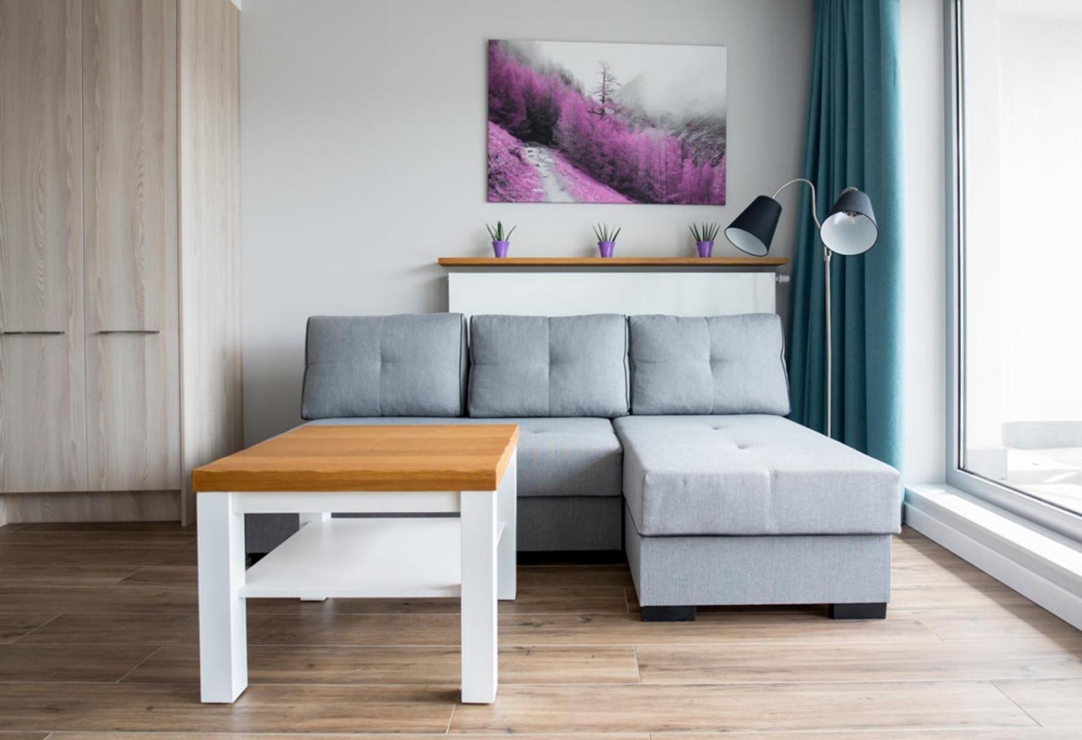 Apartview By Rent Like Home Wisła Dış mekan fotoğraf